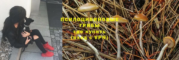 прущие крисы Арсеньев